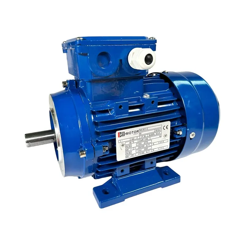 Nur Für Kurze Zeit Elektromotor, 1,1 kW, 380 V für DeLaval Milchpumpe FMP 110